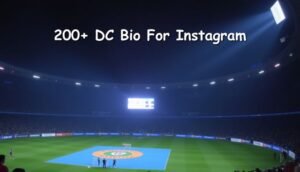 200+ DC Bio For Instagram | Delhi Capitals Fan Bios